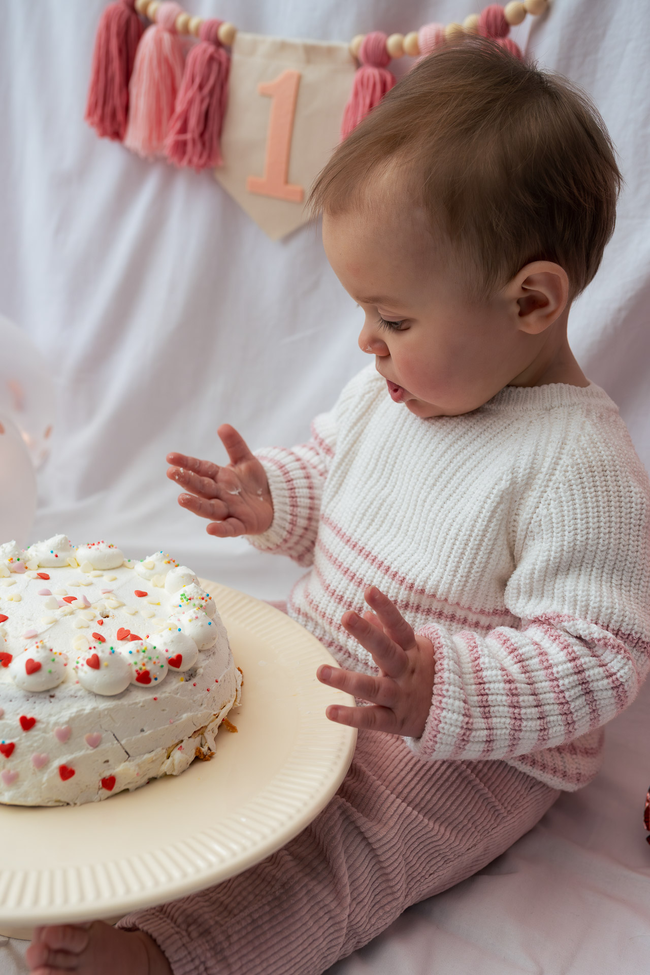 Cakesmash fotoshoot familieshoot aan huis in Utrecht