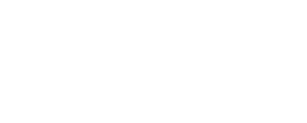 light logo