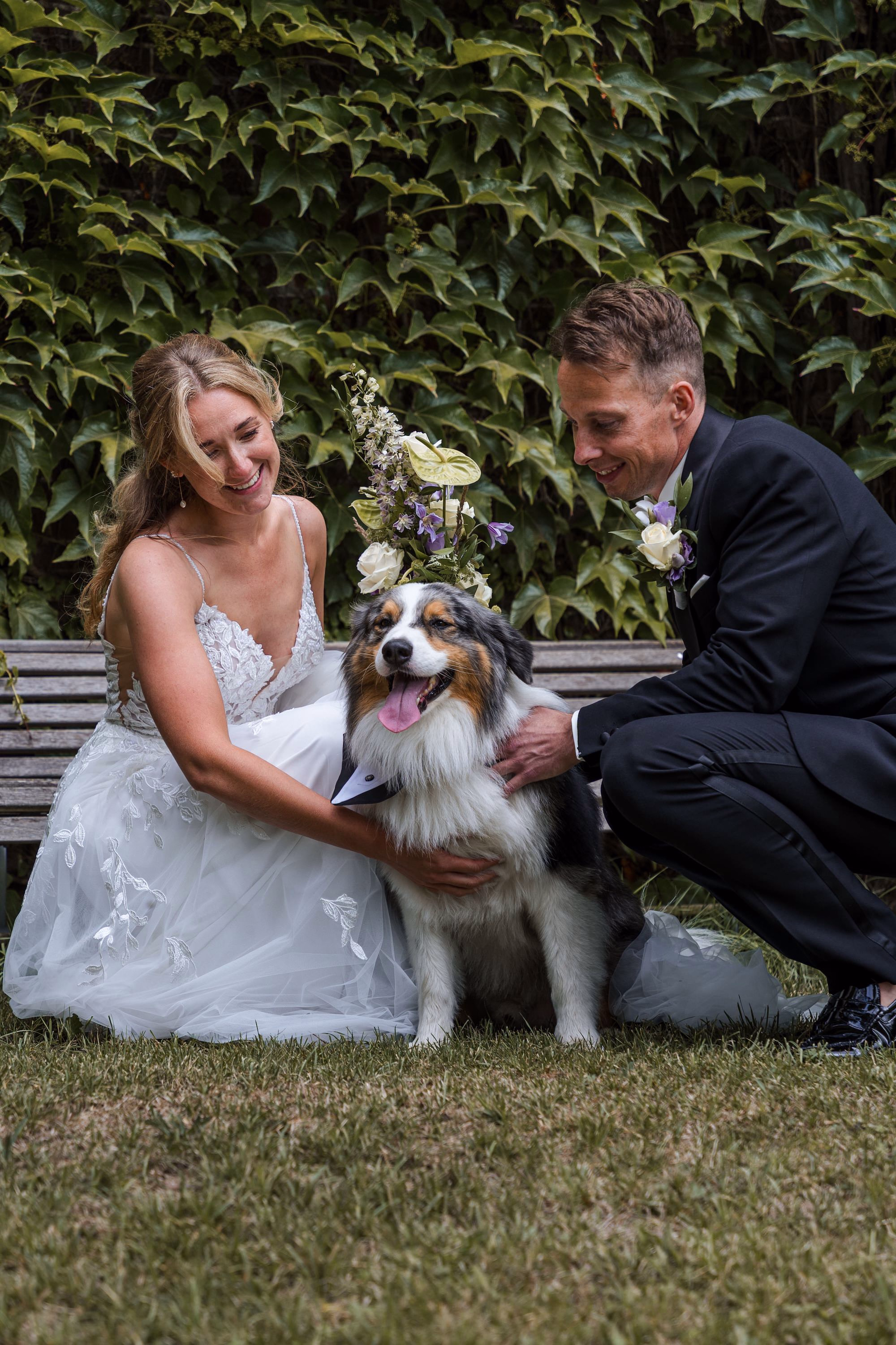 Trouwfotografie Zuid-Holland - Bruidspaar met hond